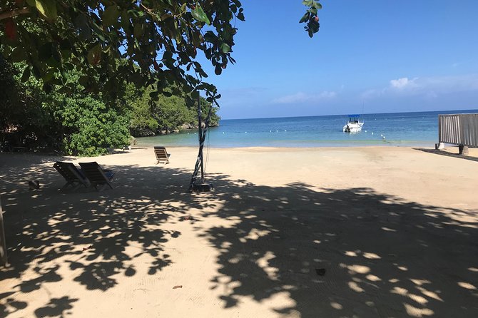 Ocho Rios City Bus Tour (Beach, Sightseeing & Shopping) - What $40 buys you