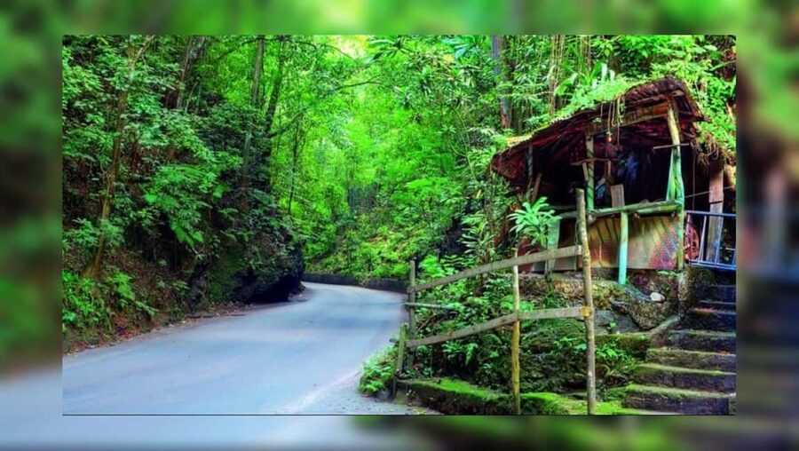 Ocho Rios: Guided Sightseeing Tour - Key points at a glance