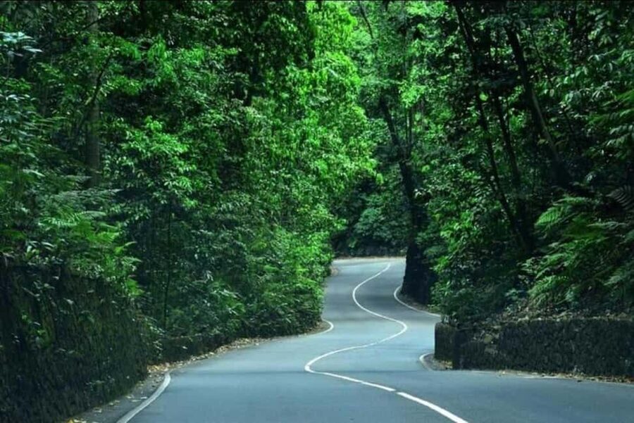 Ocho Rios: Guided Sightseeing Tour - Optional sights add flexibility, but check the package