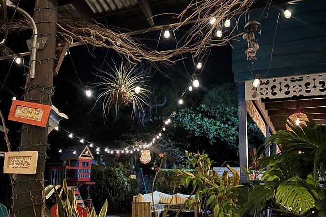 Ocho Rios Night Life - The $77 price and what it buys you
