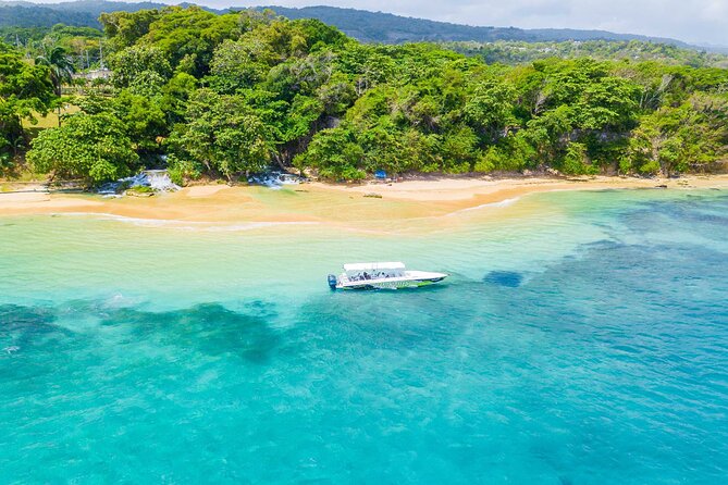 Ocho Rios Powerboat & Dunn’s River Falls Adventure - Climbing the 600-foot Dunn’s River Falls