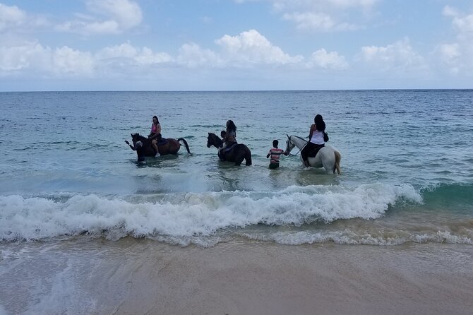 Ocho Rios Private Horse Riding, River Tubing and Rafting[Entry fee not included] - Who will enjoy this day most