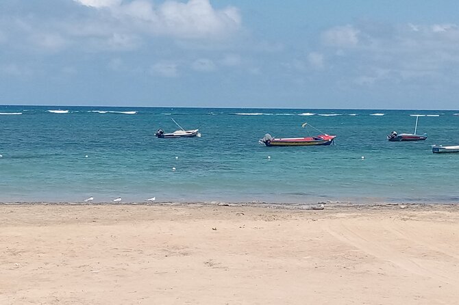 Ocho Rios Scenic Views, Culture and Adventure - A private vehicle changes the feel of the day