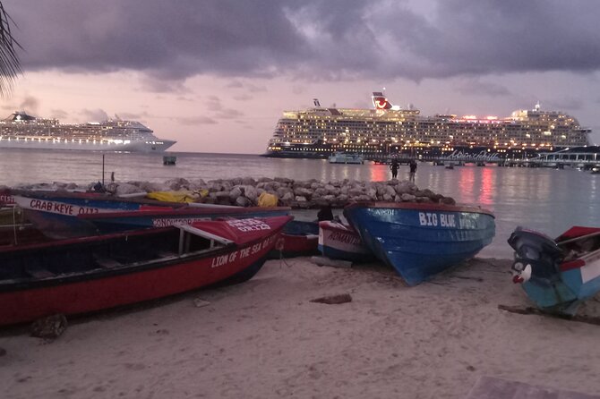 Ocho Rios Scenic Views, Culture and Adventure - Lunch, shopping, and Margaritaville are optional add-ons
