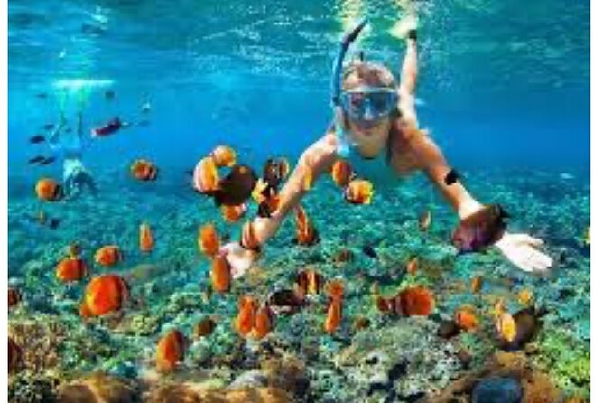 Party Catamaran and Snorkeling Tour in Montego Bay - Music, cocktails, and the catamaran social scene