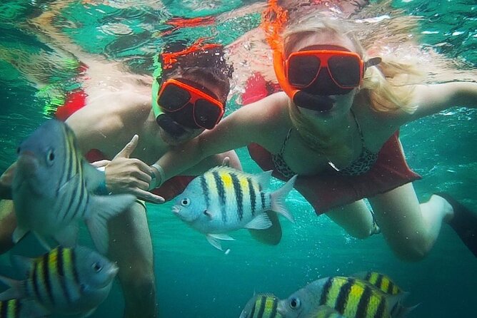 Party Catamaran Cruise with Open Bar and Snorkeling Montego Bay - Choosing the right departure time
