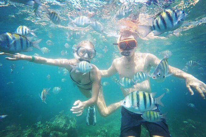 Party Catamaran Cruise with Open Bar and Snorkeling Montego Bay - Who will enjoy this cruise most
