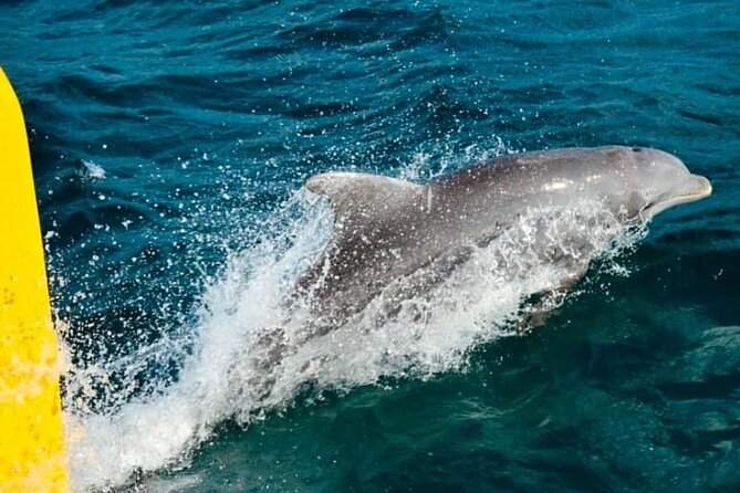 PARTY Catamaran Cruise with Snorkeling Rick's Cafe ADULTS ONLY - Rick’s Café is the grand finale, with a weather warning