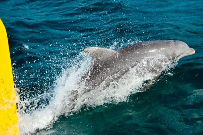 Party Catamaran: OpenBar, Music, Negril Beach, Caves, Snorkeling - Snorkeling, music, and the open bar