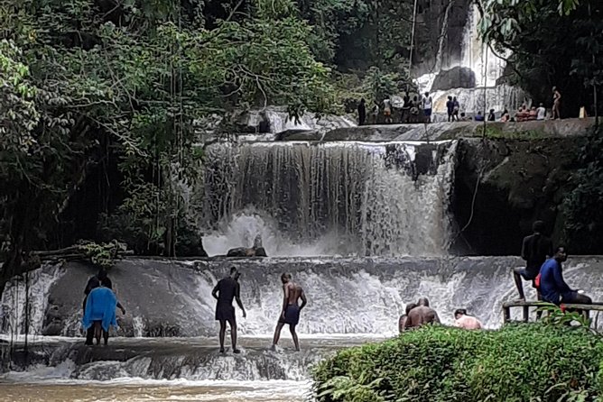 Pelican Bar, Appleton Rum Tour, YS Falls Jamaica south coast experience Montego - The long day problem from Montego Bay