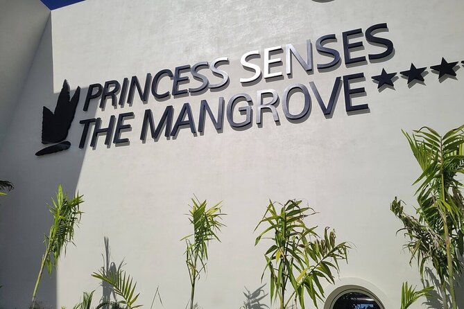 Princess Senses The Mangrove Airport Transfers - Comfort, safety, and the value of a calm arrival
