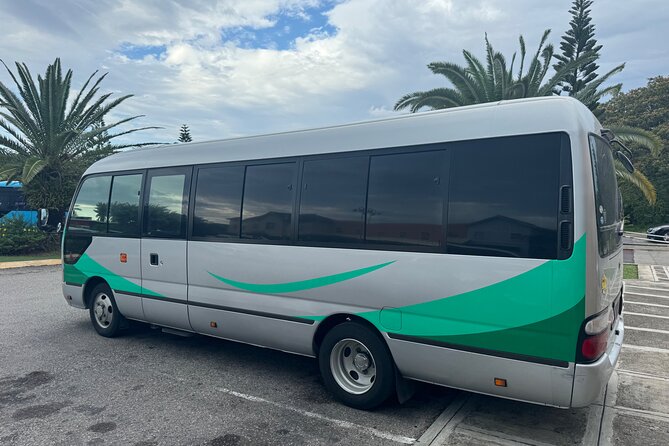 Private Airport Transfer from MBJ to Ocean Eden Bay - Who will find this transfer useful