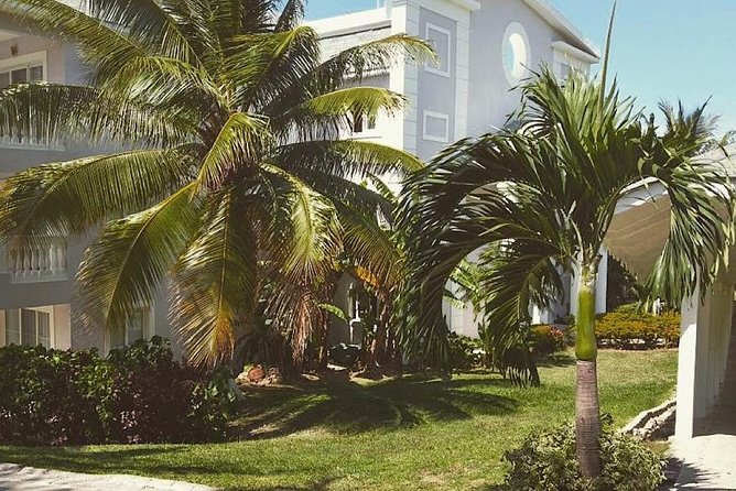 Private Airport Transfer to Lady Hamilton and Grand Palladium - Comfort, hygiene, and group size