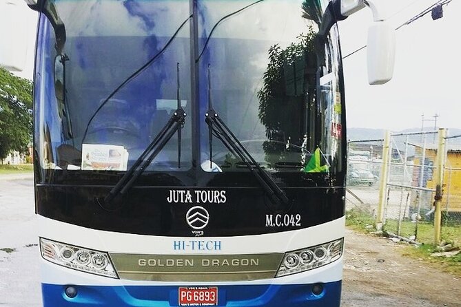Private Airport Transfers To Negril Hotels and Villas - Stops for food, photographs, and restrooms