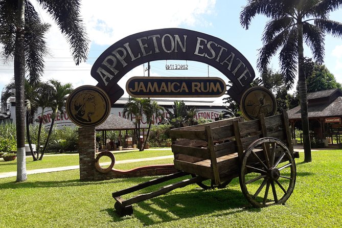 Private Appleton Estate Rum and Pelican Bar Tour from Montego Bay - Why a private guide changes the day