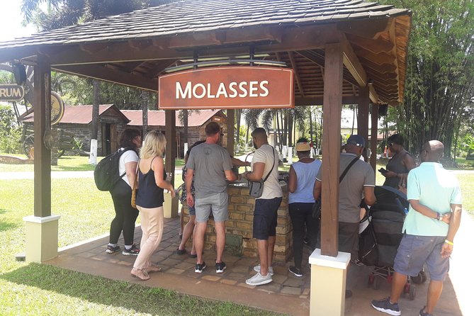 Private Appleton YS Falls and Black River Tour from Montego Bay - Key points to know before booking