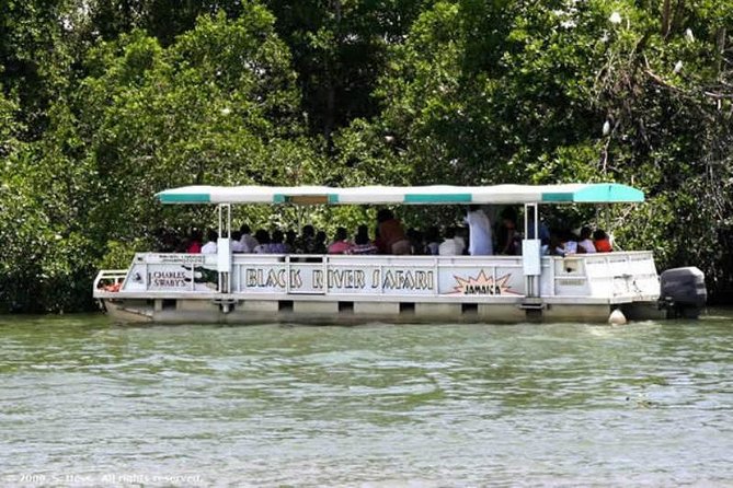 Private Appleton YS Falls and Black River Tour from Montego Bay - Why this private south-coast route works