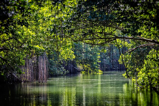 Private Appleton YS Falls and Black River Tour from Montego Bay - What the $270 price includes
