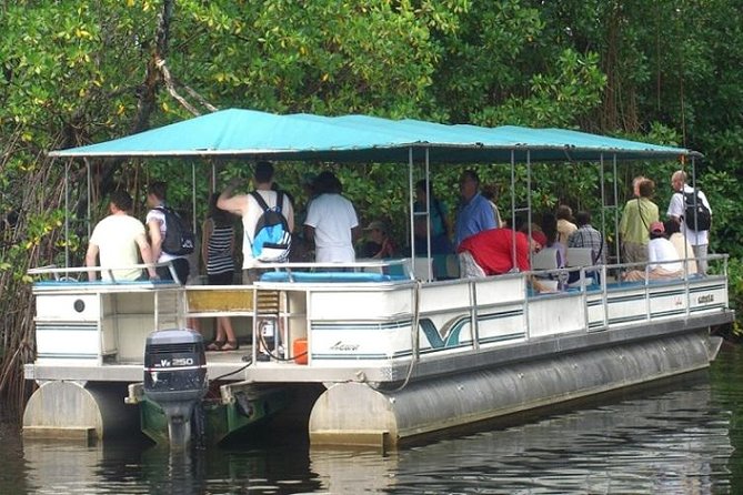 Private Appleton YS Falls and Black River Tour from Montego Bay - Starting at 7:00 am from Montego Bay