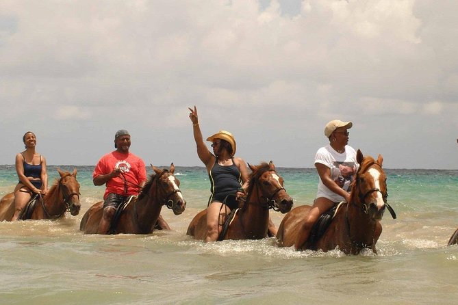 Private Beach Horseback Riding from Ocho Rios - The horse swim is the memorable finish
