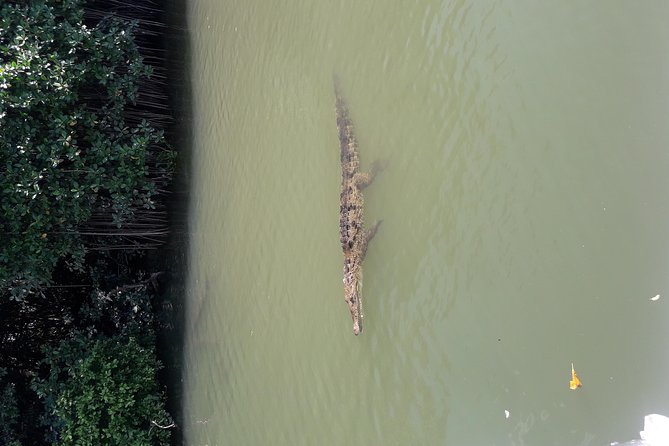 Private Black River Safari Tour from Montego Bay - Is the $160 price good value?