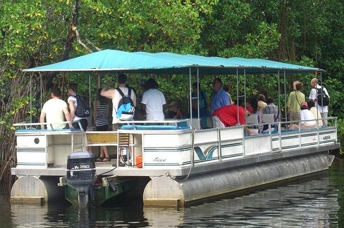 Private Black River Safari Tour from Montego Bay - Who will enjoy this Black River tour most?