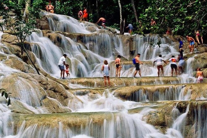 Private Bob Marley 9 mile & DunnsRiverFalls Tour from Montego Bay - Climbing Dunn’s River Falls in 45 minutes