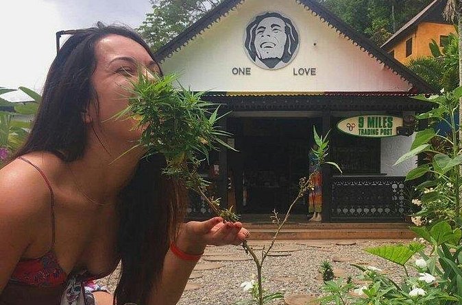 Private Bob Marley's Resting place, Dunn's River and shopping - Is $95 per person good value?