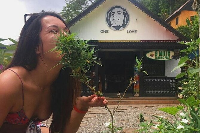 Private Bob Marley's Resting place, Dunn's River and shopping - Three hours at Dunn’s River Falls and Park