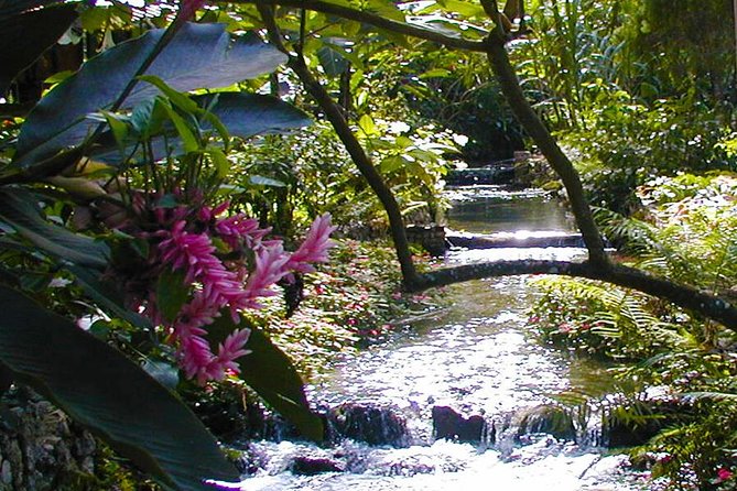 Private Combo Tour From Ocho Rios To Blue Hole & Konoko Falls - Two waterfall stops, two different moods