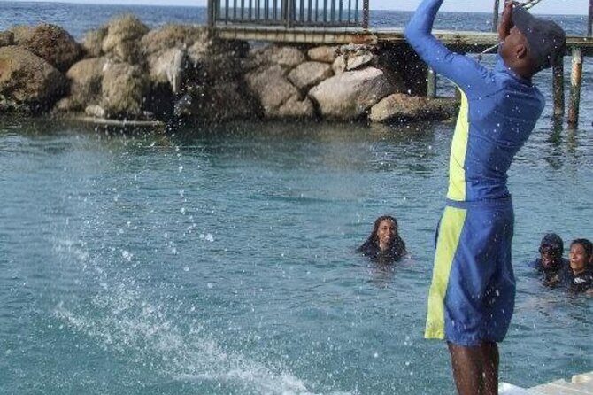 Private Dolphin Cove Adventure - A closer look at the three-hour plan