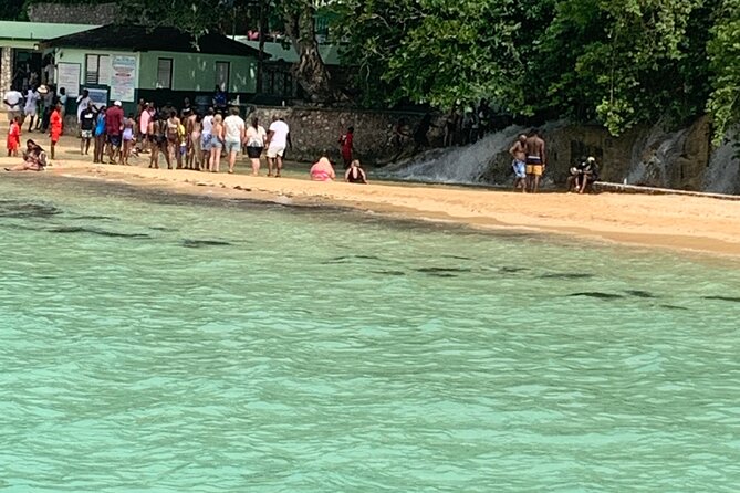 Private Dunn's River and Bamboo Rafting Combo from Ocho Rios - What the private minivan changes