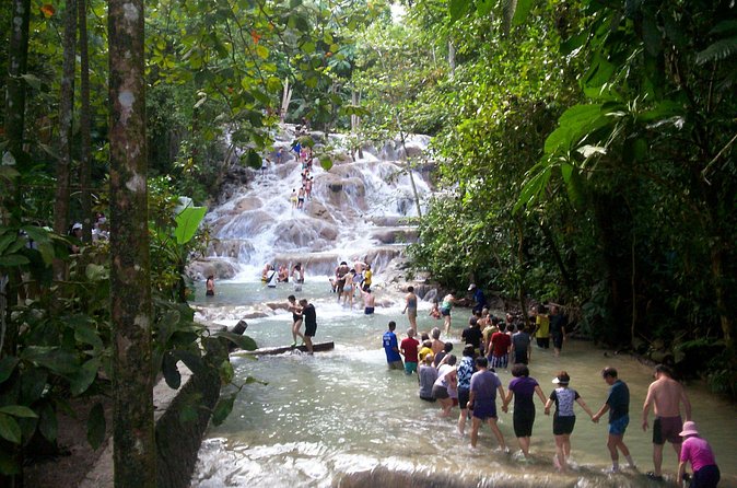 Private Dunn's River Falls Adventure from Montego Bay - Corey’s private service and what it adds