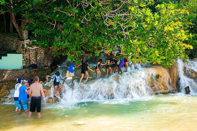 Private Dunn's River Falls Adventure from Montego Bay - Dunn’s River Falls: the main event