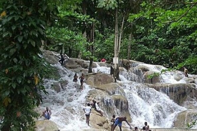 Private Dunn's River Falls and Tubing Tour From Ocho Rios - Timing, Transport, and What to Plan