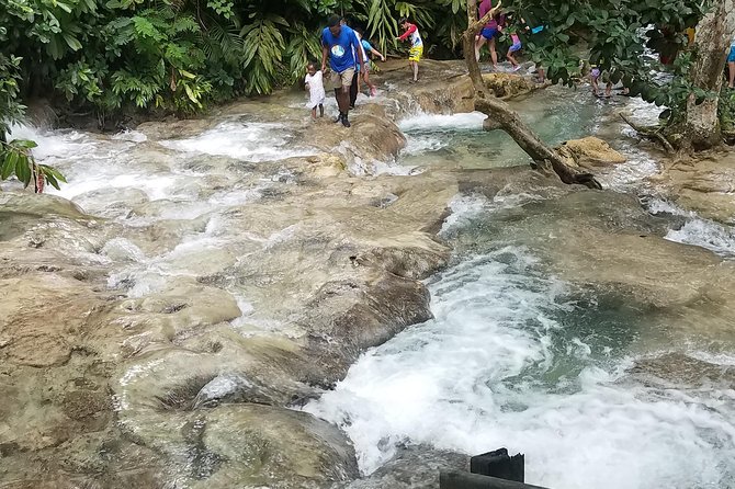 Private Dunn's River Falls from Ocho Rios - What the $80 price really buys