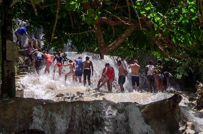 Private Dunn's River Falls from Ocho Rios - Who will enjoy this most