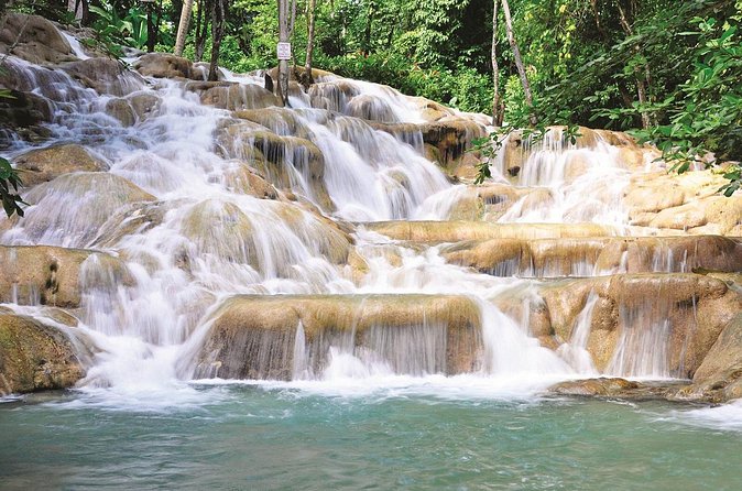 Private Dunn's River Falls Jamaica - Adding the rainforest zipline