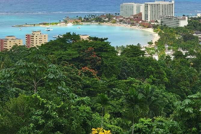 Private Dunn's River Falls, Ocho Rios Sightseeing and shopping - Timing, weather, and cancellation rules