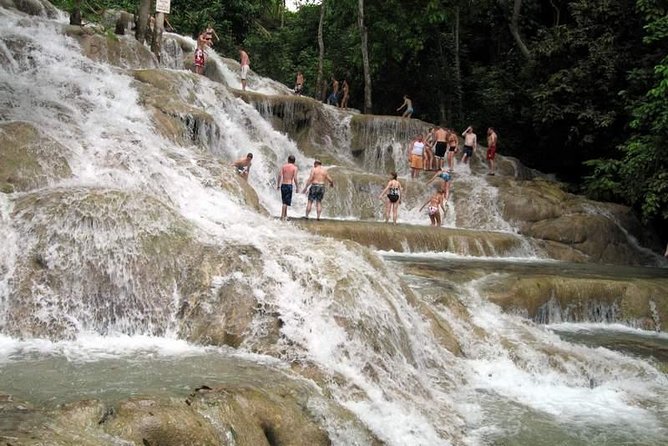 [PRIVATE] Dunn's River Falls with Entrance Fees - The private ride from Montego Bay