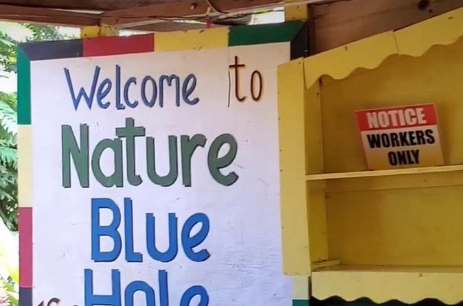 Private Dunns River Falls and Blue Hole from Montego Bay Tour - Rope swings and waterfalls at Blue Hole
