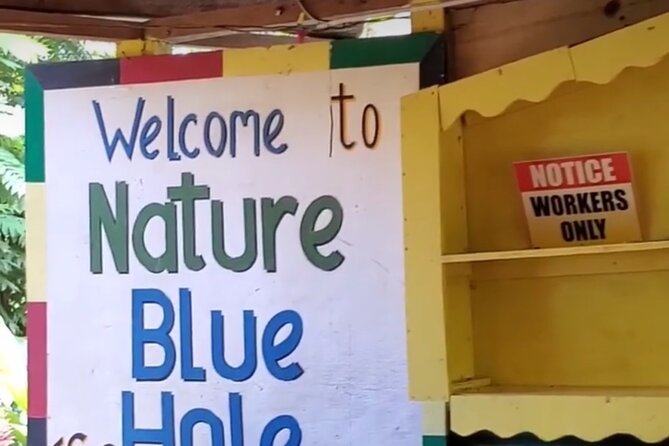 Private Dunns River Falls and Blue Hole from Montego Bay Tour - The local touch matters