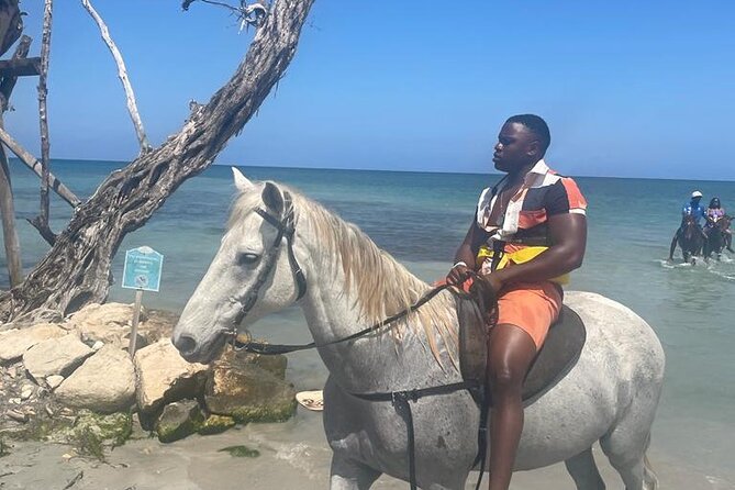 Private Dunns River Falls and Horse Back Riding - Key points at a glance