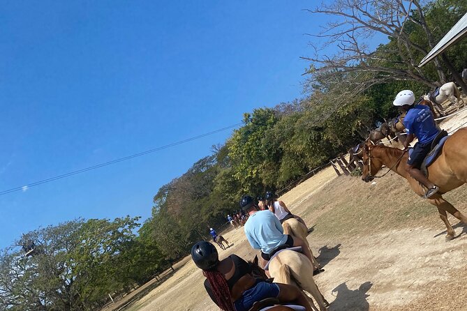 Private Dunns River Falls and Horse Back Riding - Why this pairing works in Jamaica