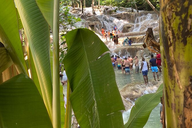 Private Dunns River Falls and Horse Back Riding - The ride between Montego Bay and the attractions