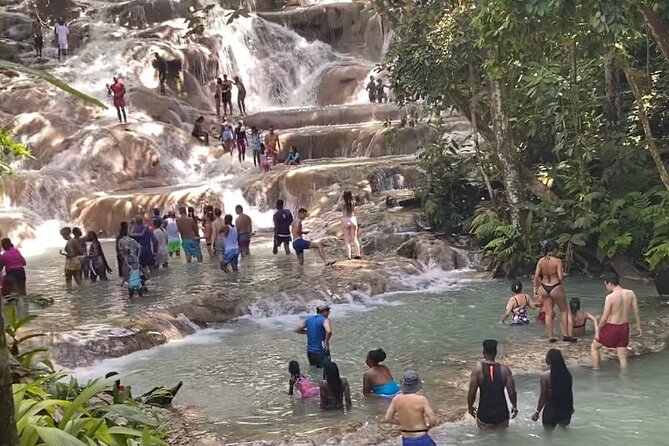 Private Dunns River Falls and Horse Back Riding - What $110 means for value
