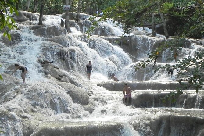 Private Dunns River Falls and Horse Back Riding - Should you book this private Jamaica excursion?