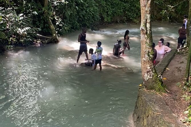 Private Dunns River Falls and Horse Back Riding - Choosing a horse in Saint Ann Parish