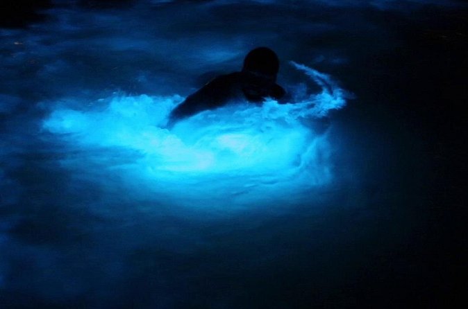 Private Guided Night Tour of Luminous Lagoon in Montego Bay - The 45-minute shared boat ride