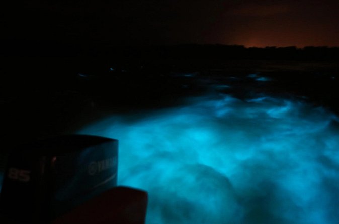 Private Guided Night Tour of Luminous Lagoon in Montego Bay - Falmouth stories, birds, and Jamaican context